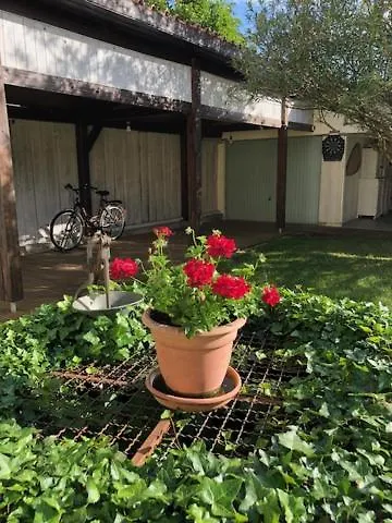 Escale Au Fond Du Jardin Privat bolig Agen